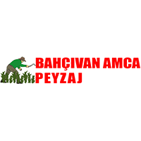 174-bahcivan-amca-logo.png